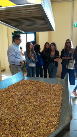 Studenti dell'archimede in visita didattica presso Amaro Averna
